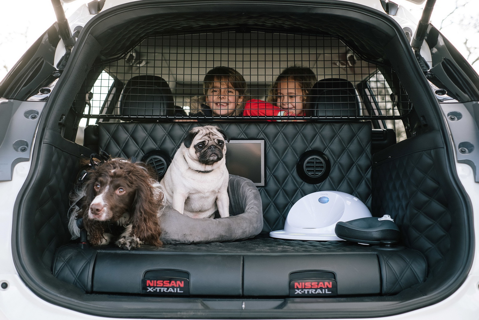 Koncepcyjny Nissan XTrail dla psów NaMasce