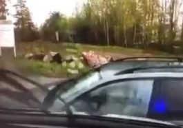 Pościg fińskiej policji