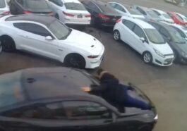 Kradzież BMW M4 spod salonu