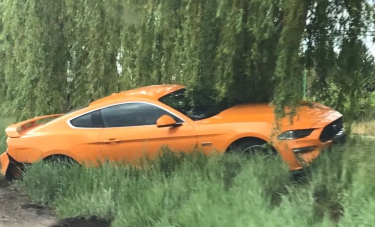 Kierowca Mustanga