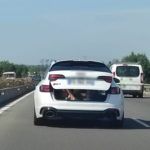 Kierowca Audi przewożący dzieci w bagażniku