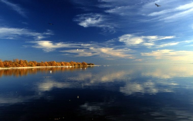 Litowe jezioro w USA