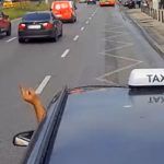 Taksówkarz w akcji