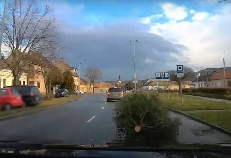 Zderzenie z drzewem na drodze