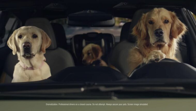 Psia reklama Subaru